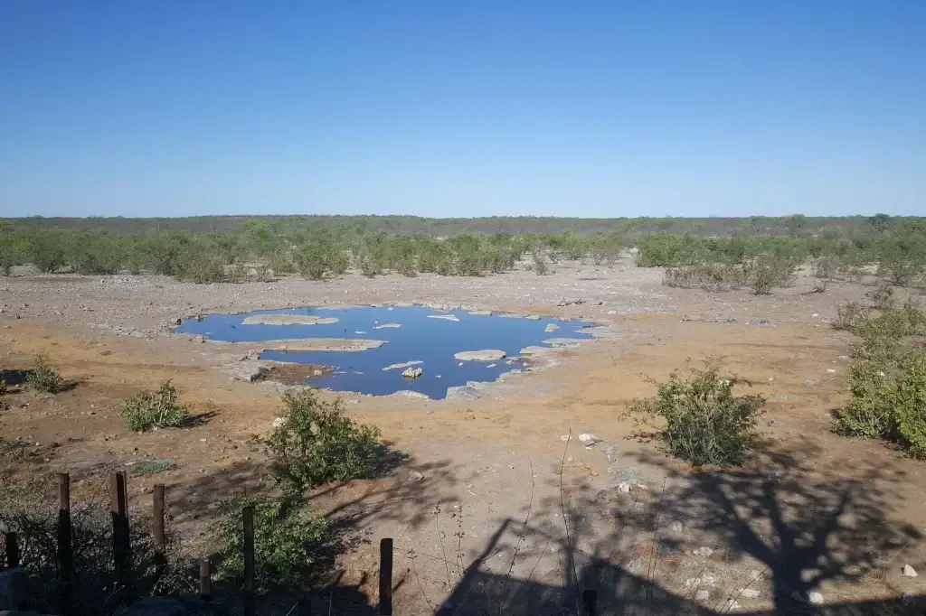 Halali Camp 1 Waterhole at Halali Resort in Etosha National Park