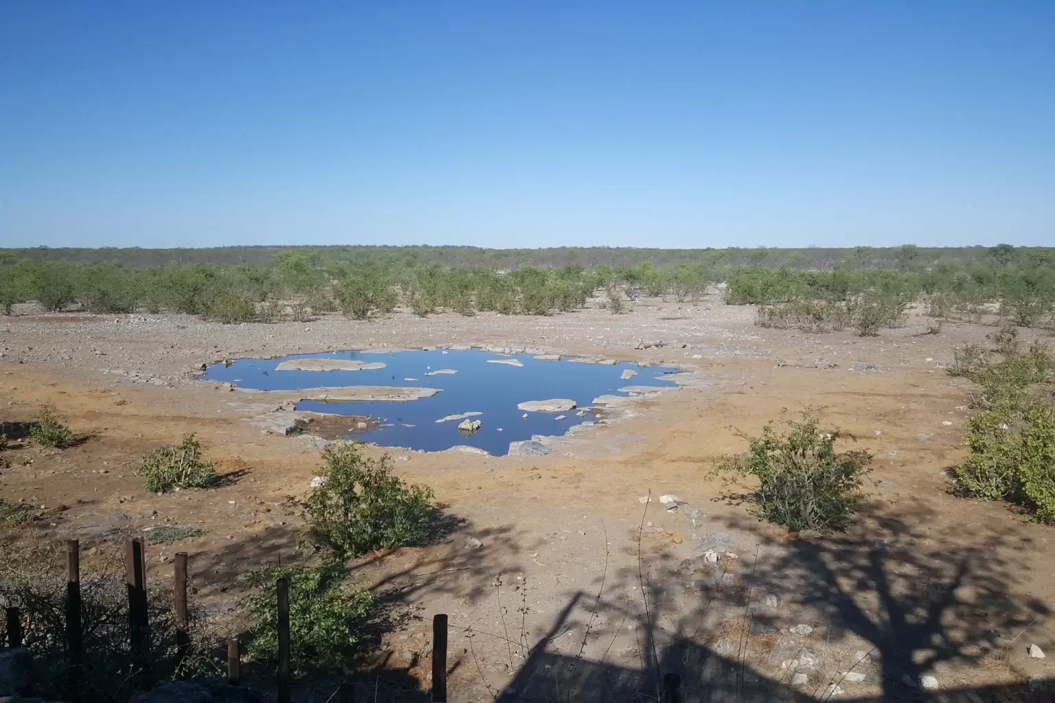 Halali Resort waterhole at dusk, Etosha National Park