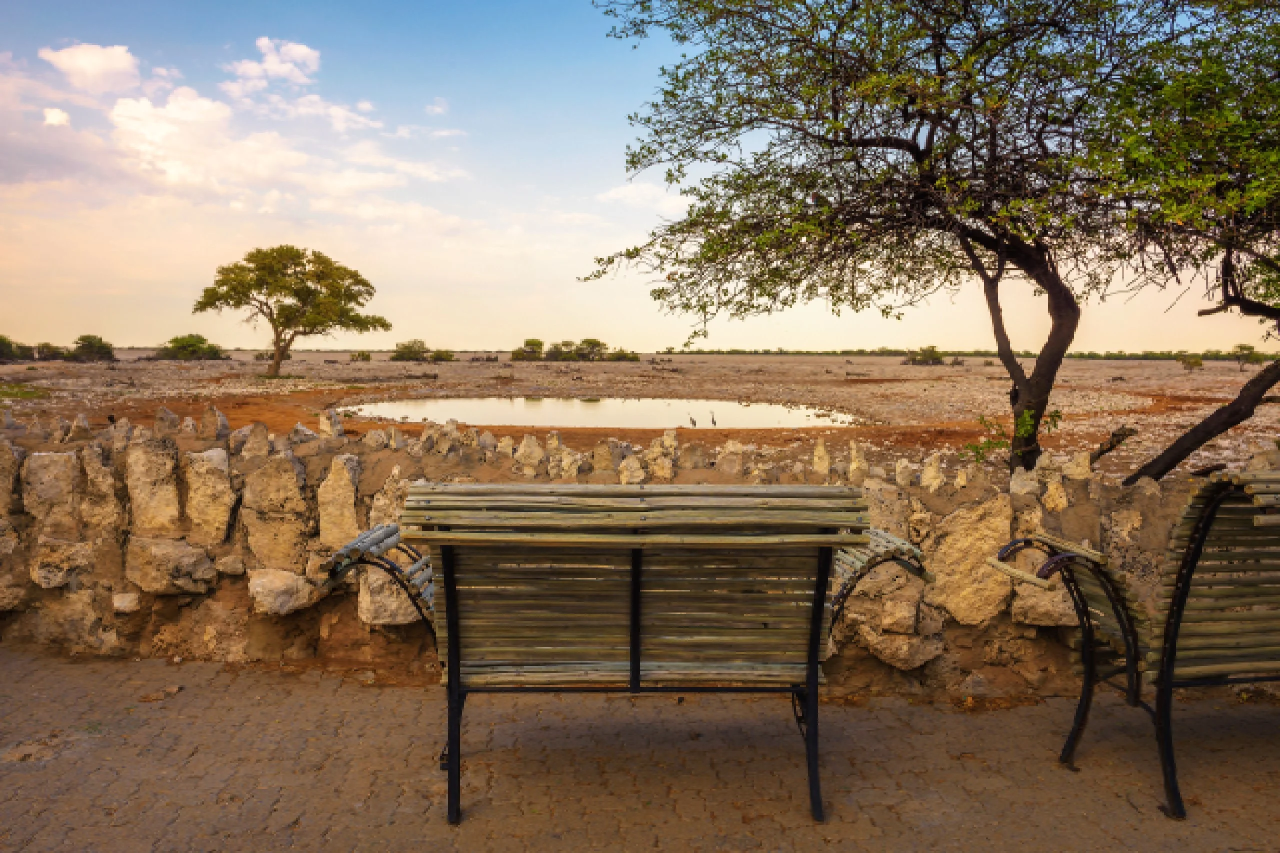 Bench at the waterhole viewing deck at Okaukuejo Camp