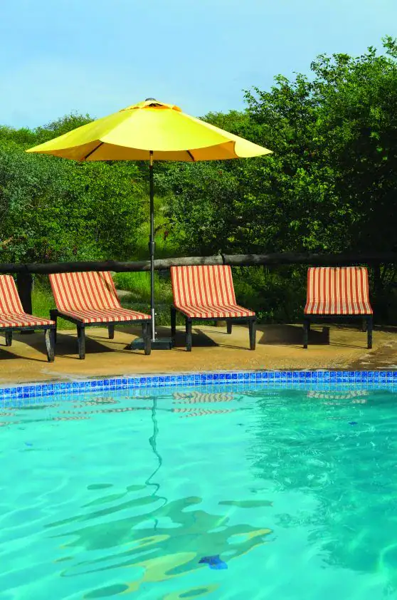 Poolside striped loungers under a yellow umbrella at the turquoise pool of Etosha Safari Camp