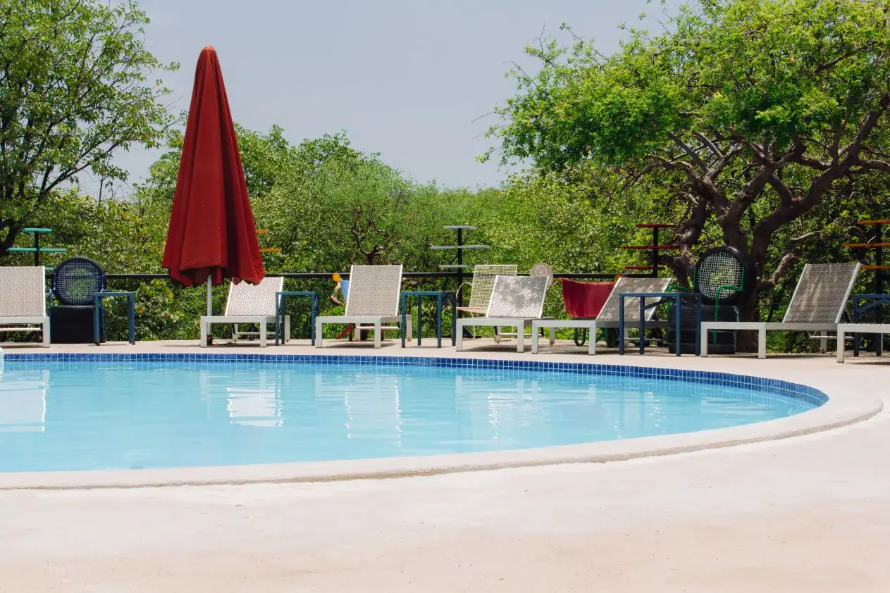 Curved blue-tiled swimming pool with sun loungers and colourful recycled-tyre decor at Etosha Safari Camp