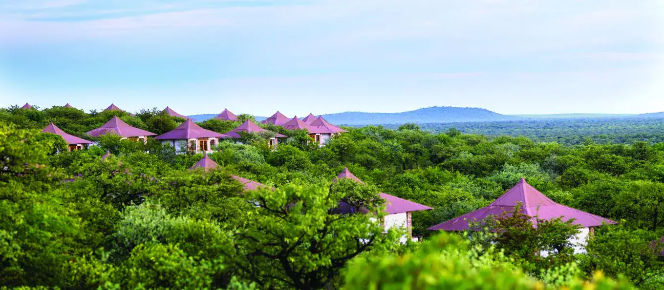 Hilltop panorama over Etosha Safari Lodge bungalow roofs rising through mopane treetops