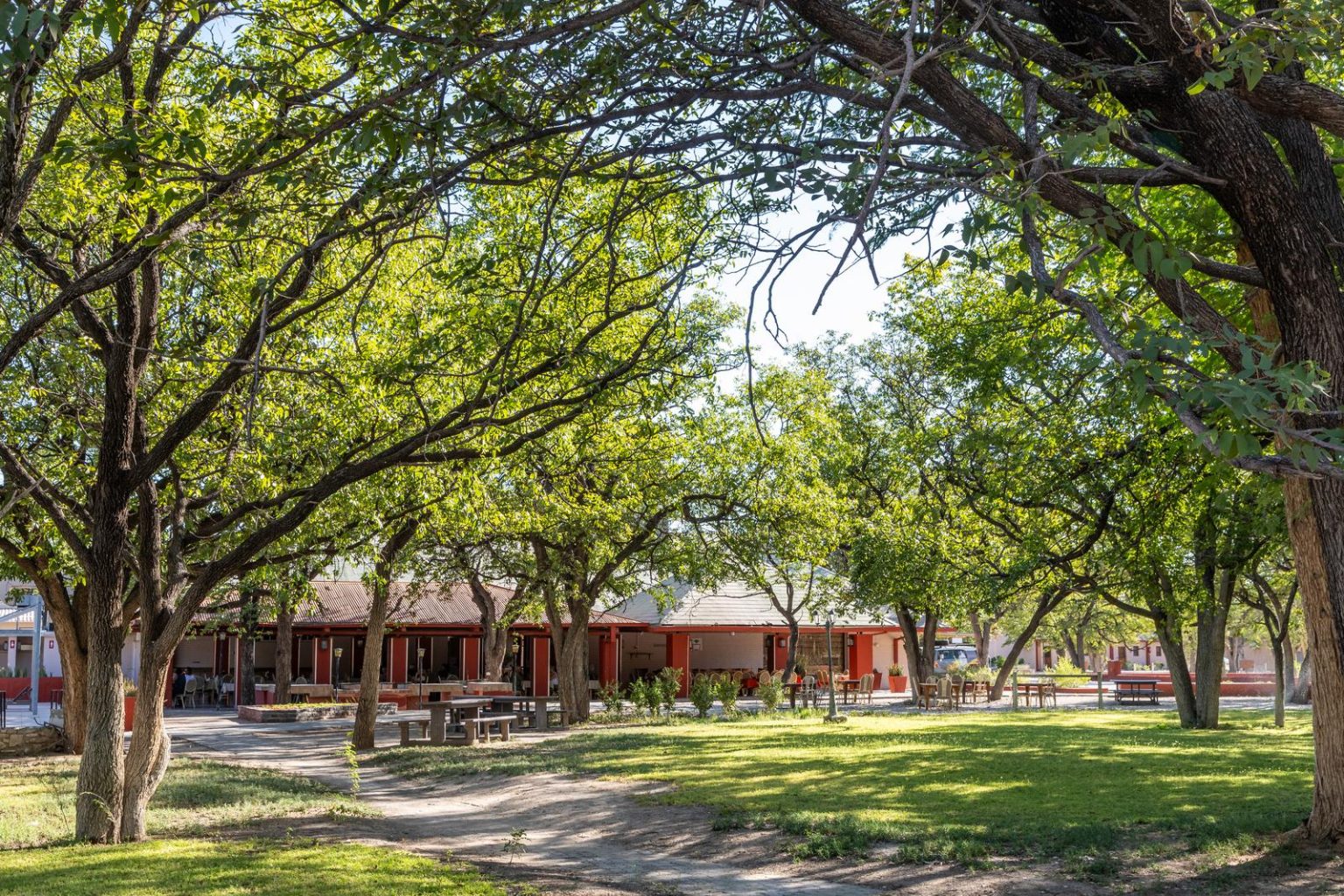 Shaded lawns and chalets across the grounds of Halali Camp