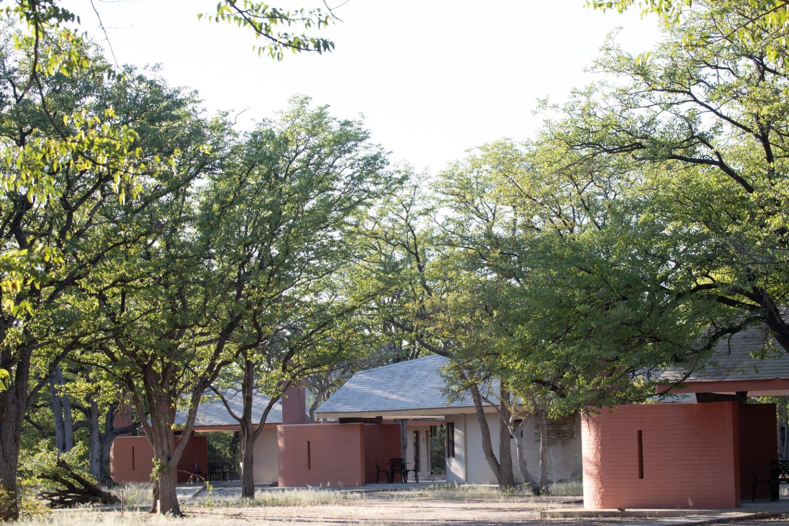 Halali Camp chalets shaded by mature mopane trees in central Etosha