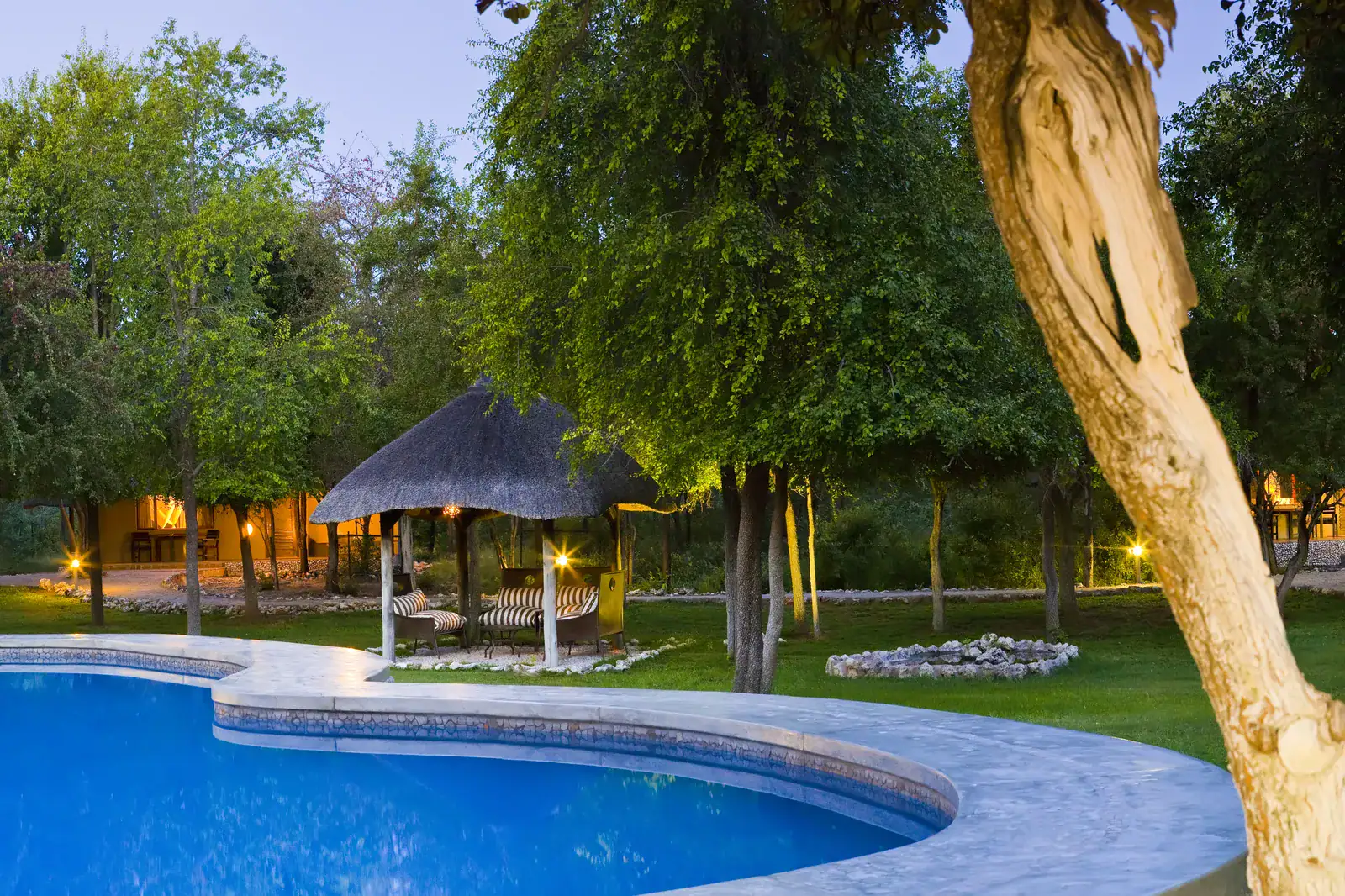 Curved swimming pool at twilight with a thatched lounge gazebo in the tree-shaded gardens of Mushara Lodge