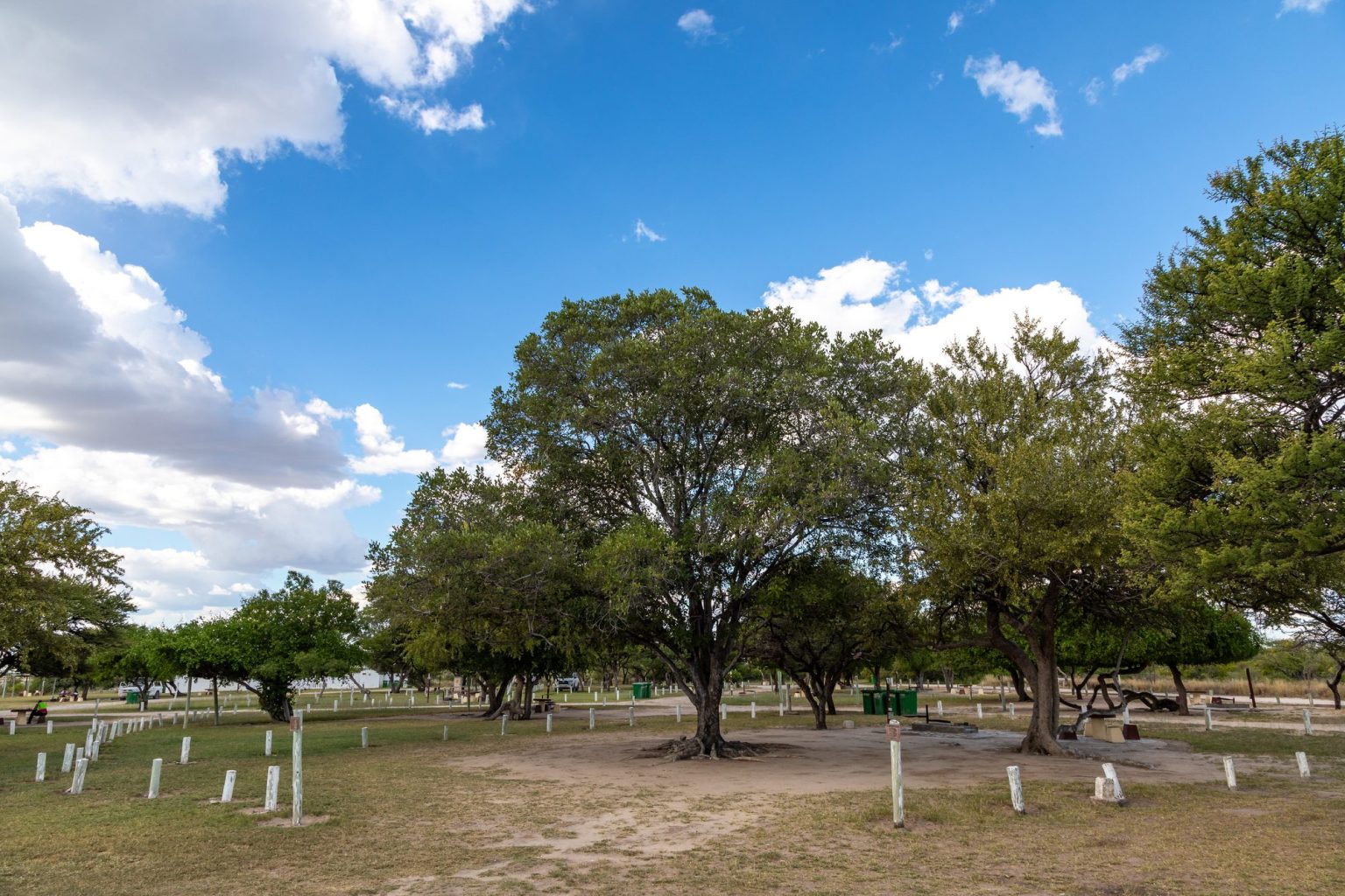 Shaded campsite pitches under trees at Namutoni Camp, Etosha