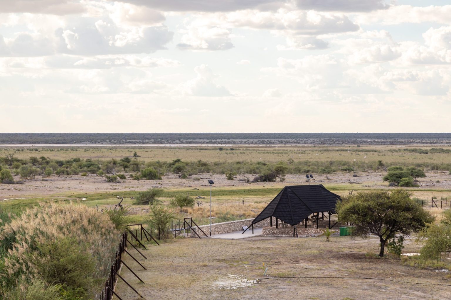 Fischer's Pan seen from the viewing deck at Namutoni Camp